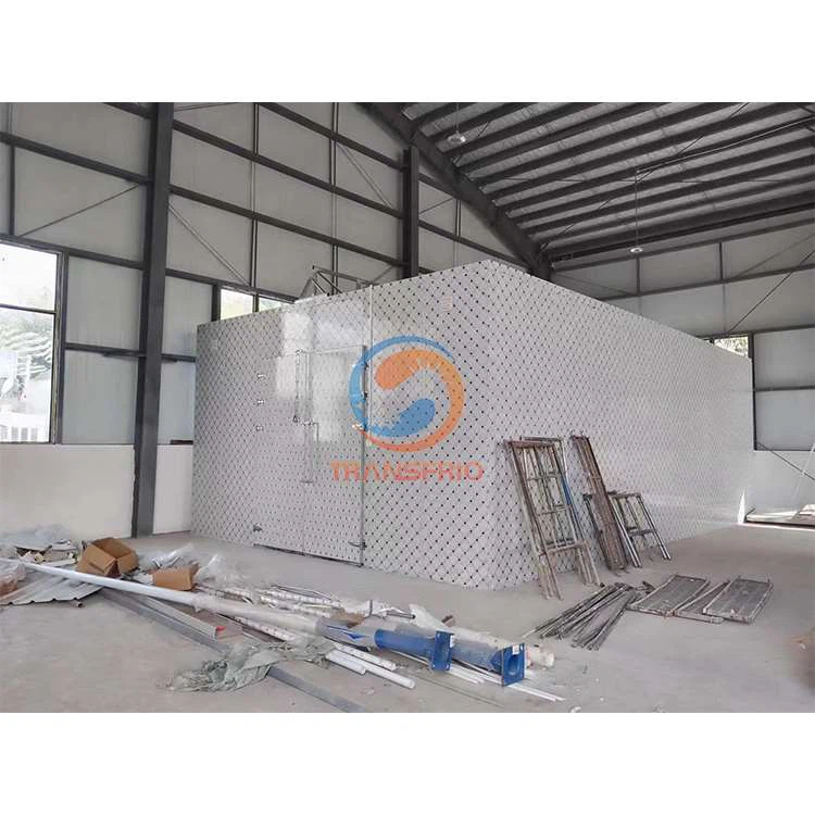 Emmagatzematge en fred per a patata