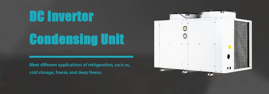 product-1100-386 product-1100-386