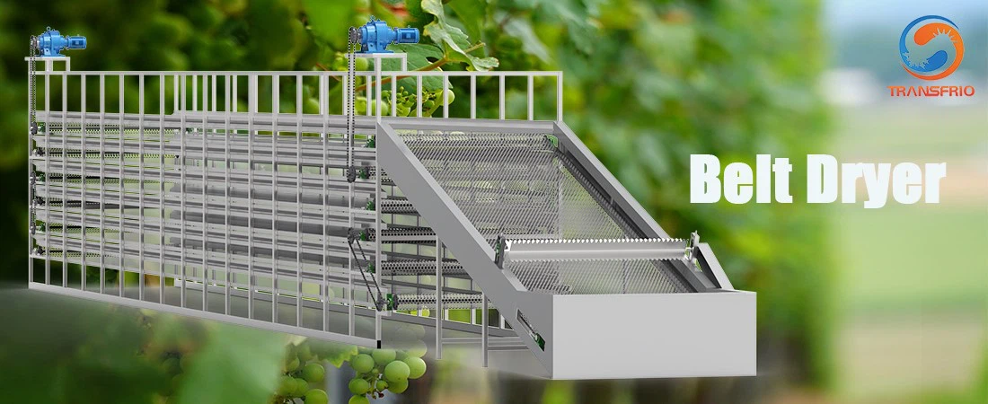 product-1100-450 product-1100-450